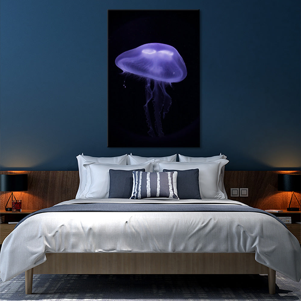 Lone jellyfish