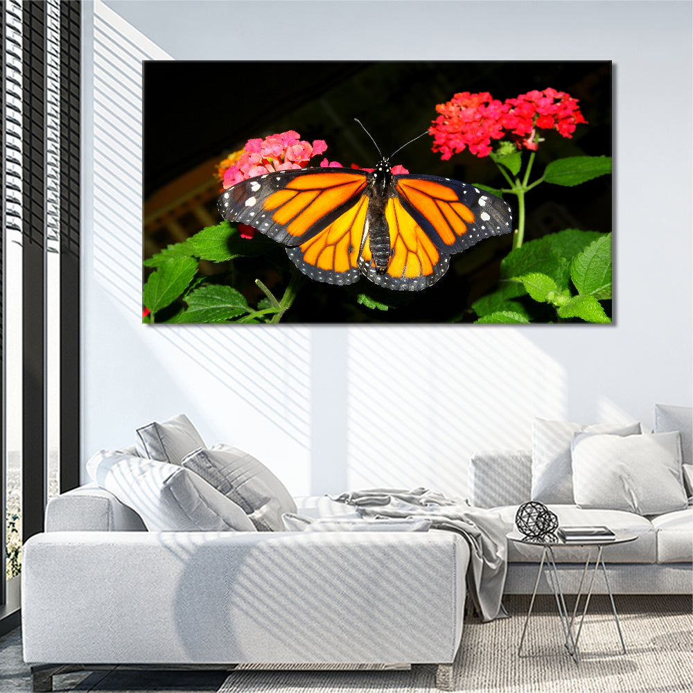 Butterfly on flowers