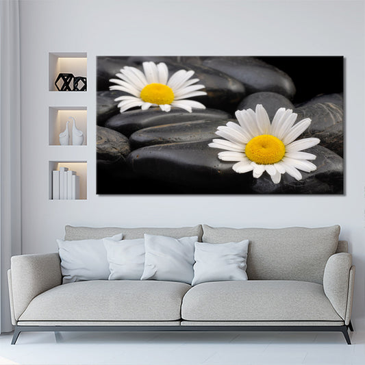 White daisies on pebble beach