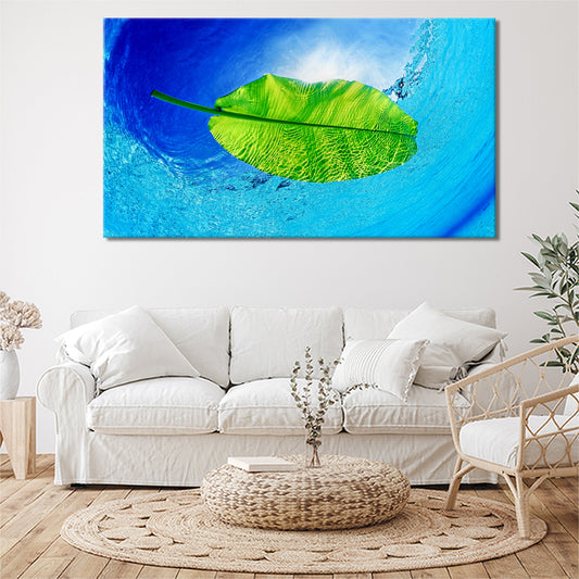 Beautiful floating leaf