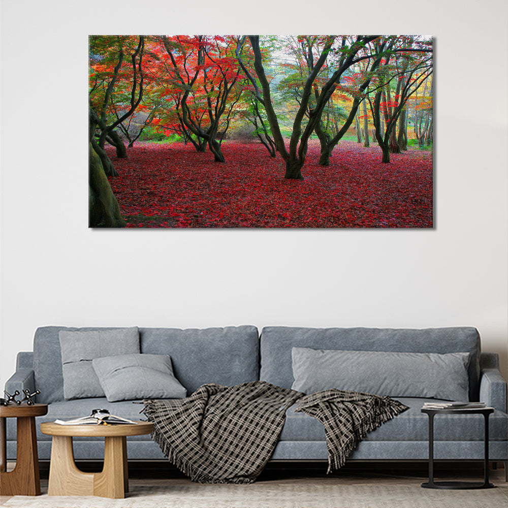 Red leaf forest