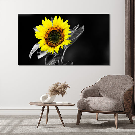 Contrast sunflower