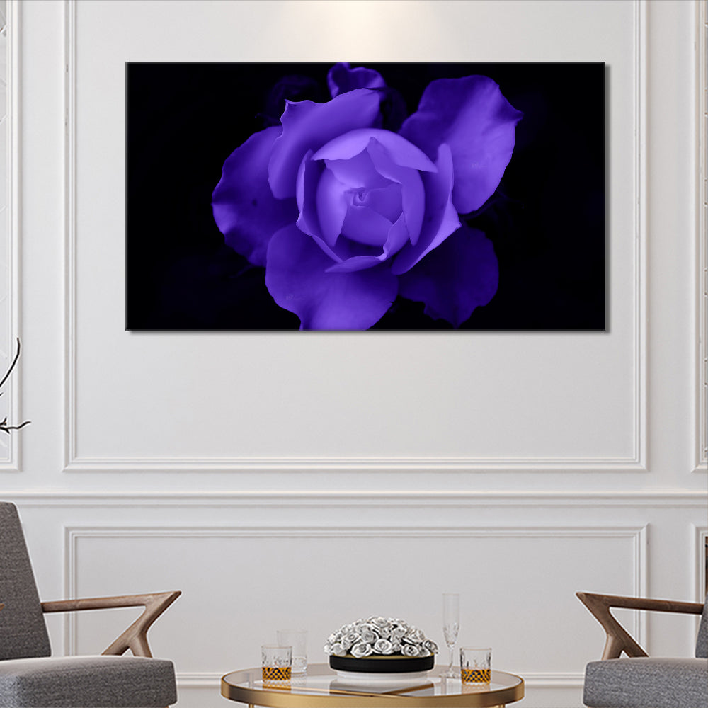 Purple rose