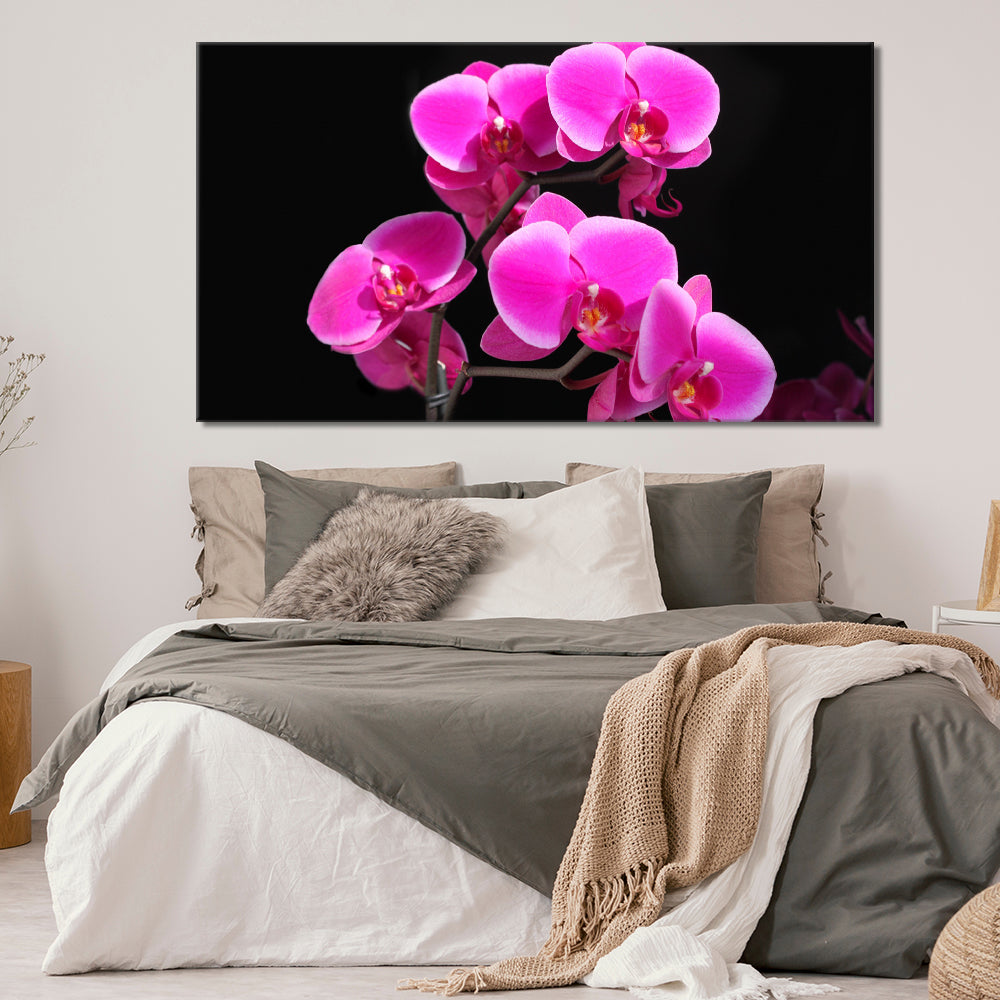 Pink orchids