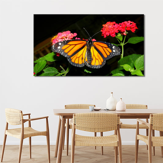 Butterfly on flowers