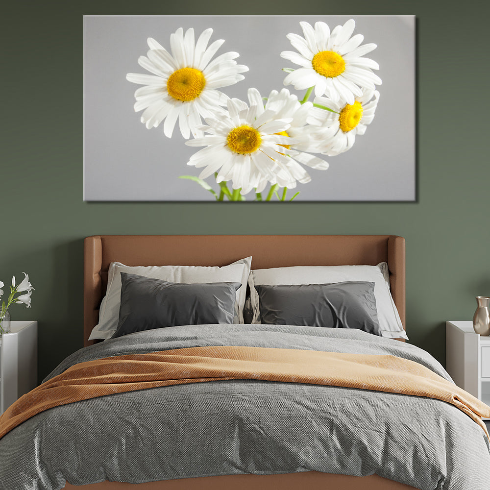 Daisies