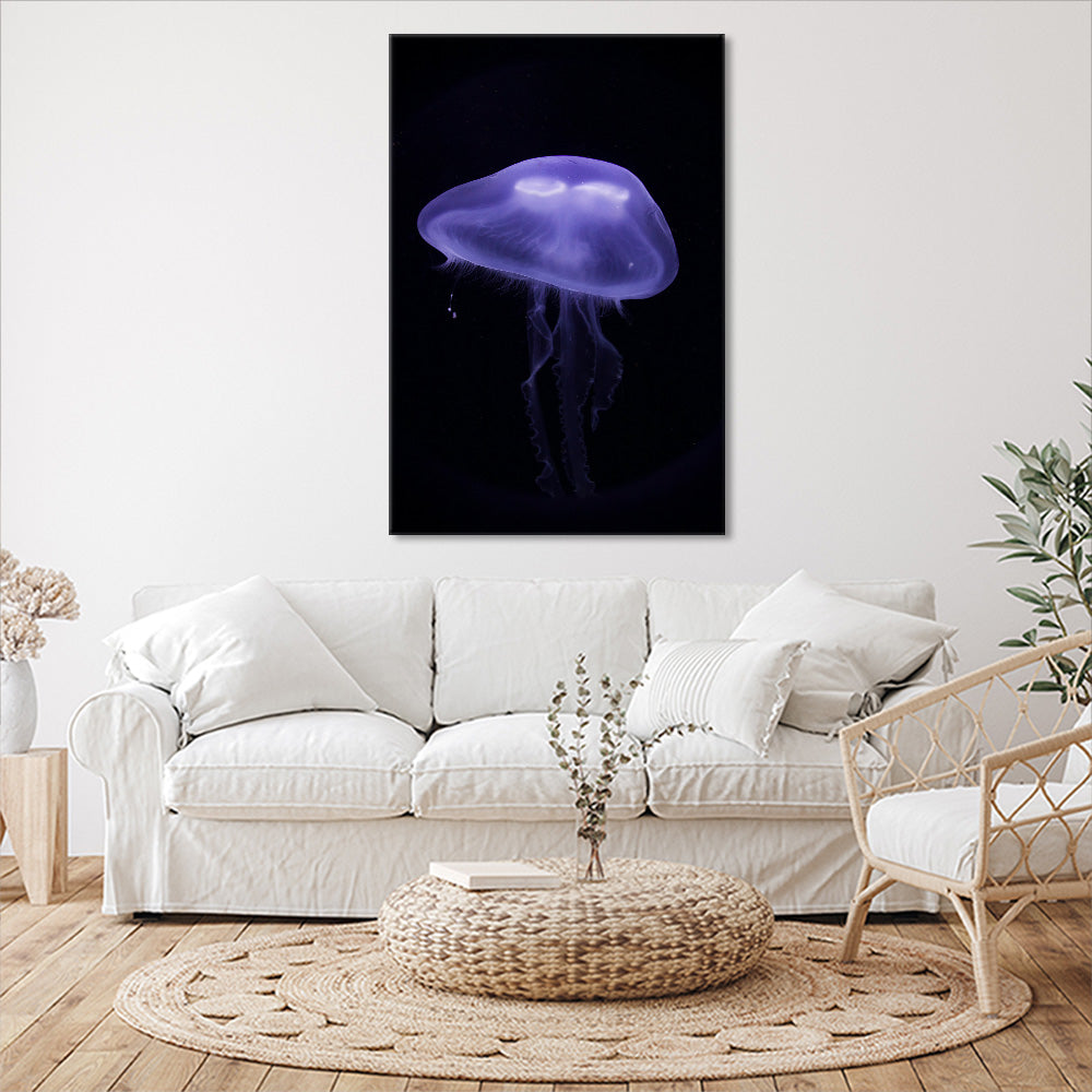 Lone jellyfish