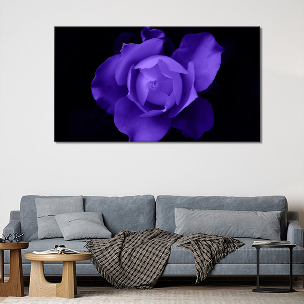 Purple rose