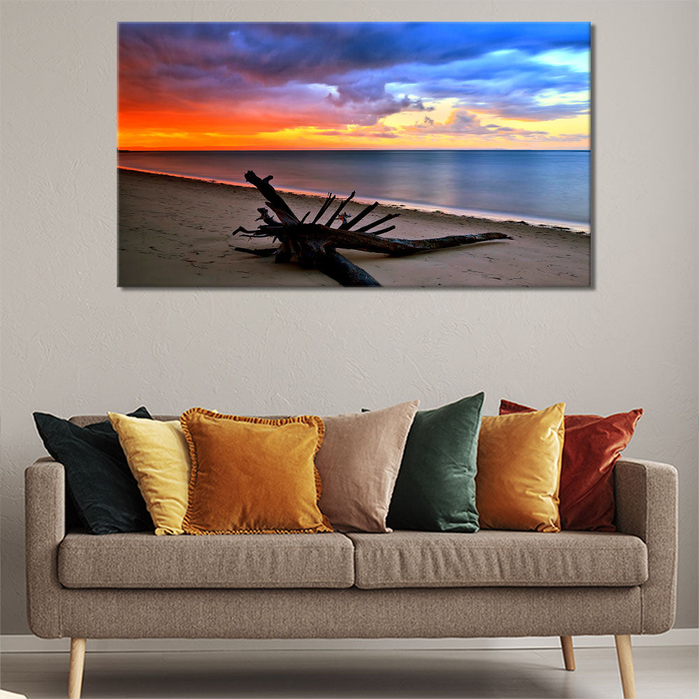 Driftwood on the beach