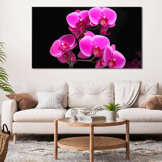 Pink orchids