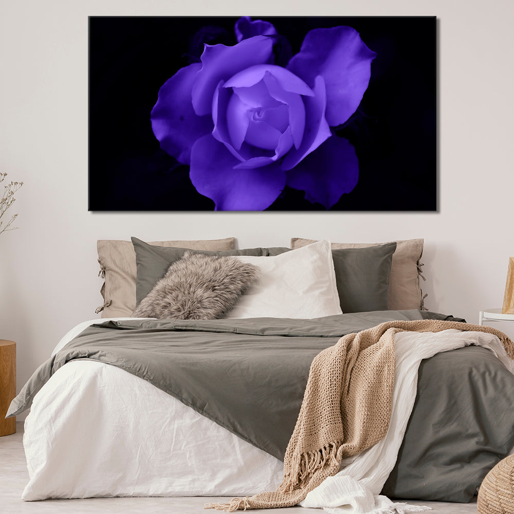 Purple rose