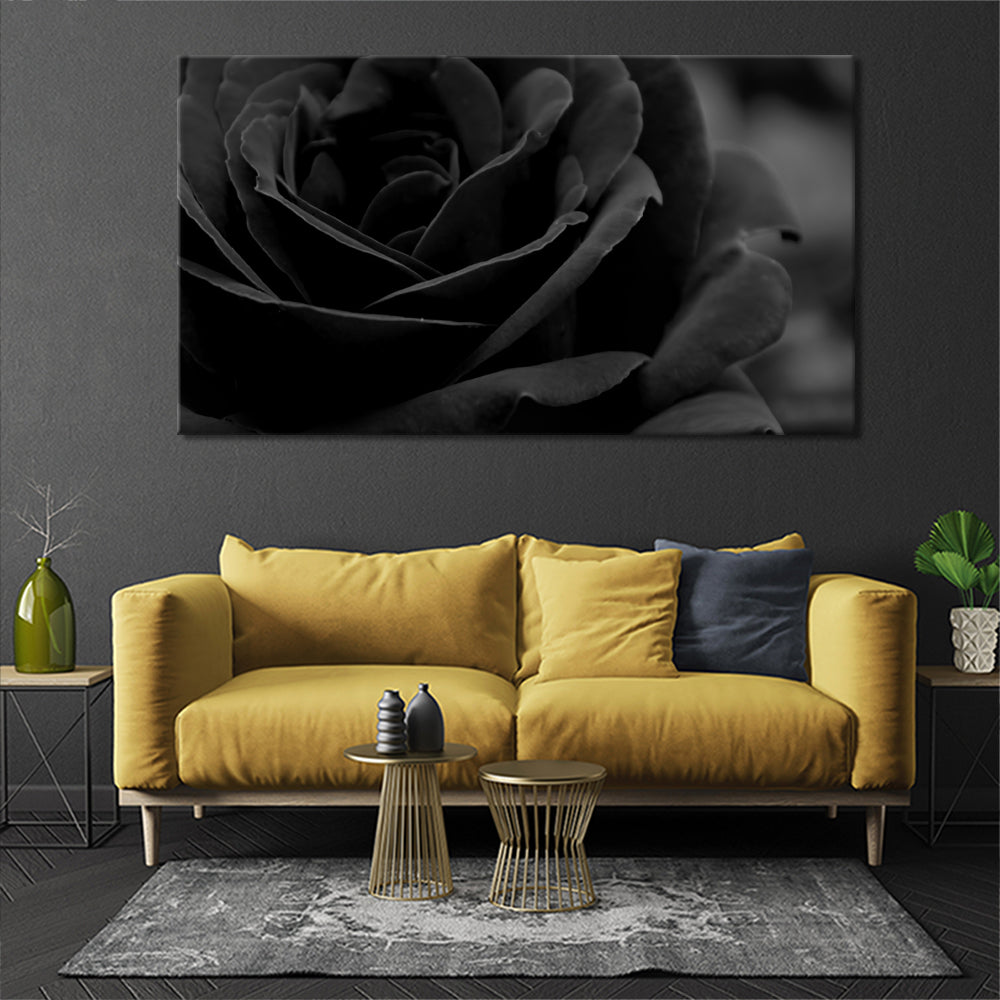 Perfect black rose