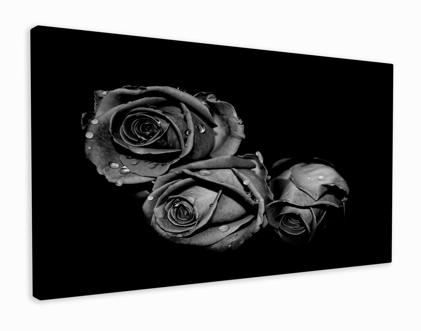 Black roses