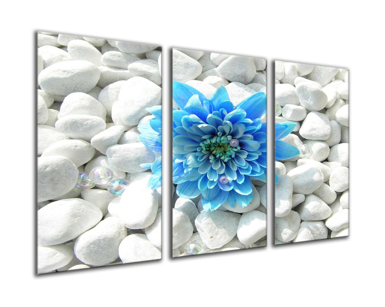 Blue flower on white pebbles