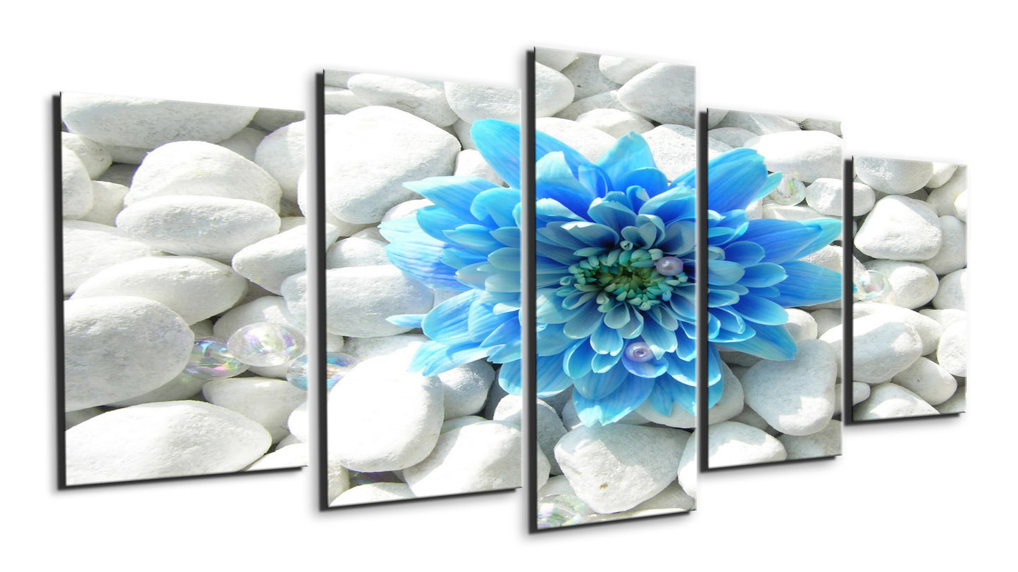 Blue flower on white pebbles