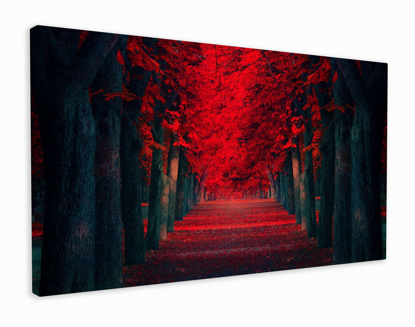 The red forest path