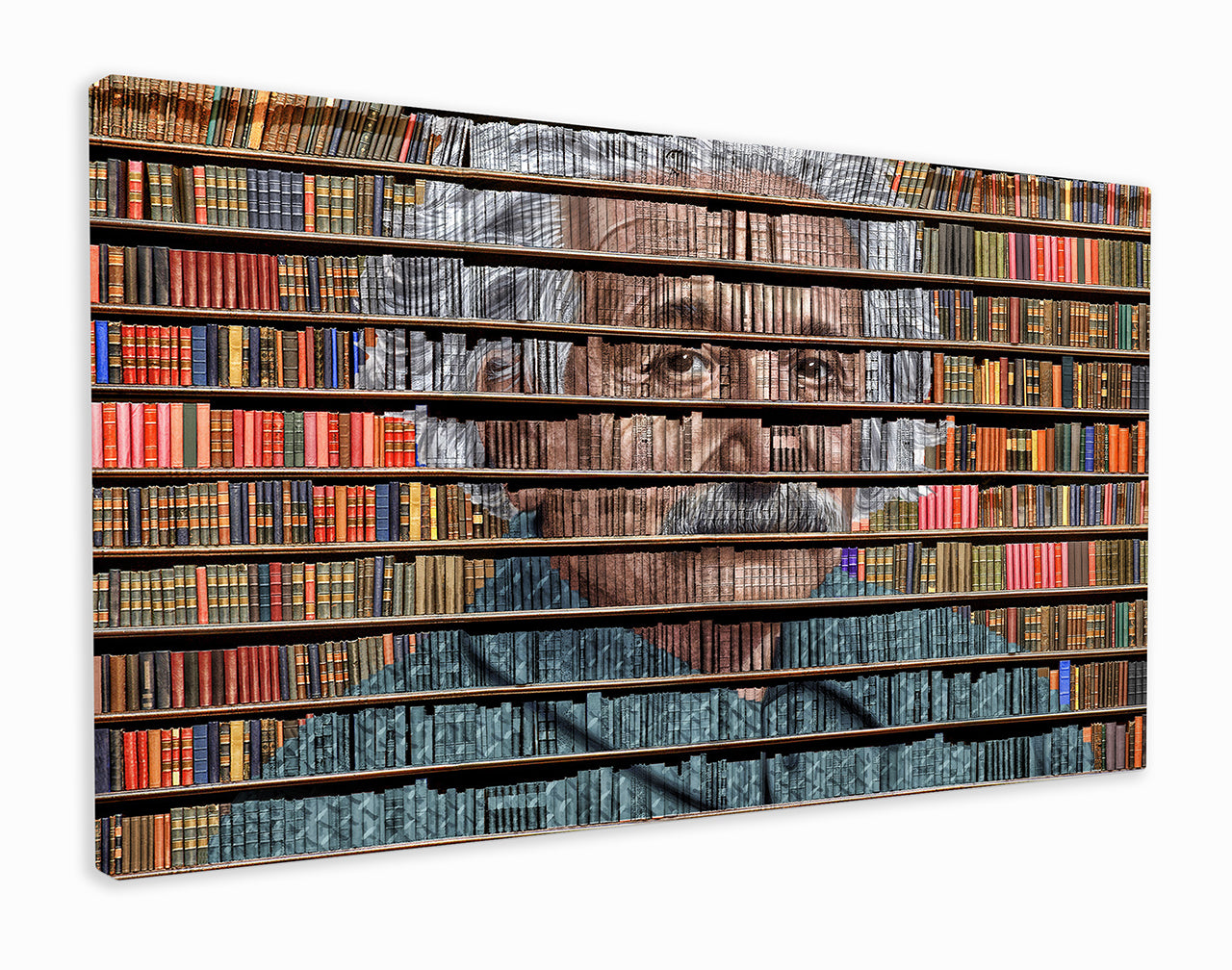 Albert Einstein bookcase