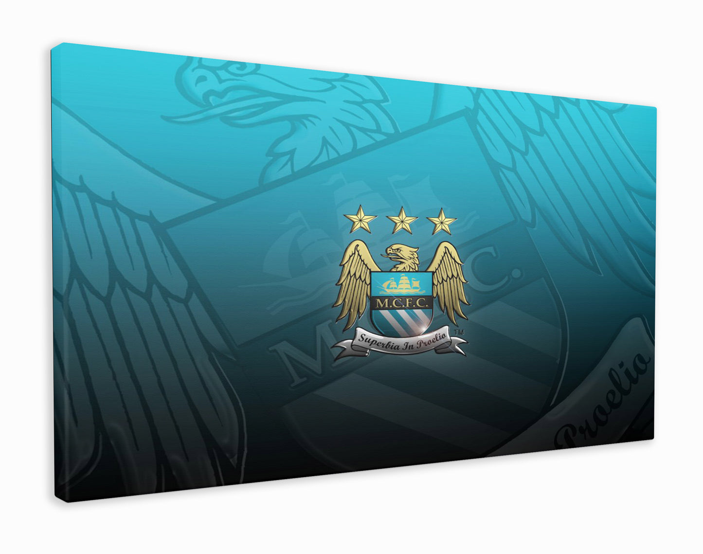 Man city crest