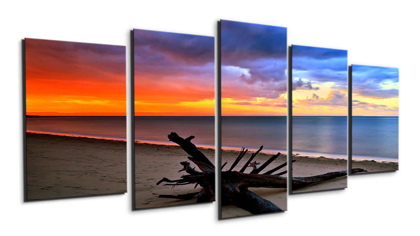 Driftwood on the beach