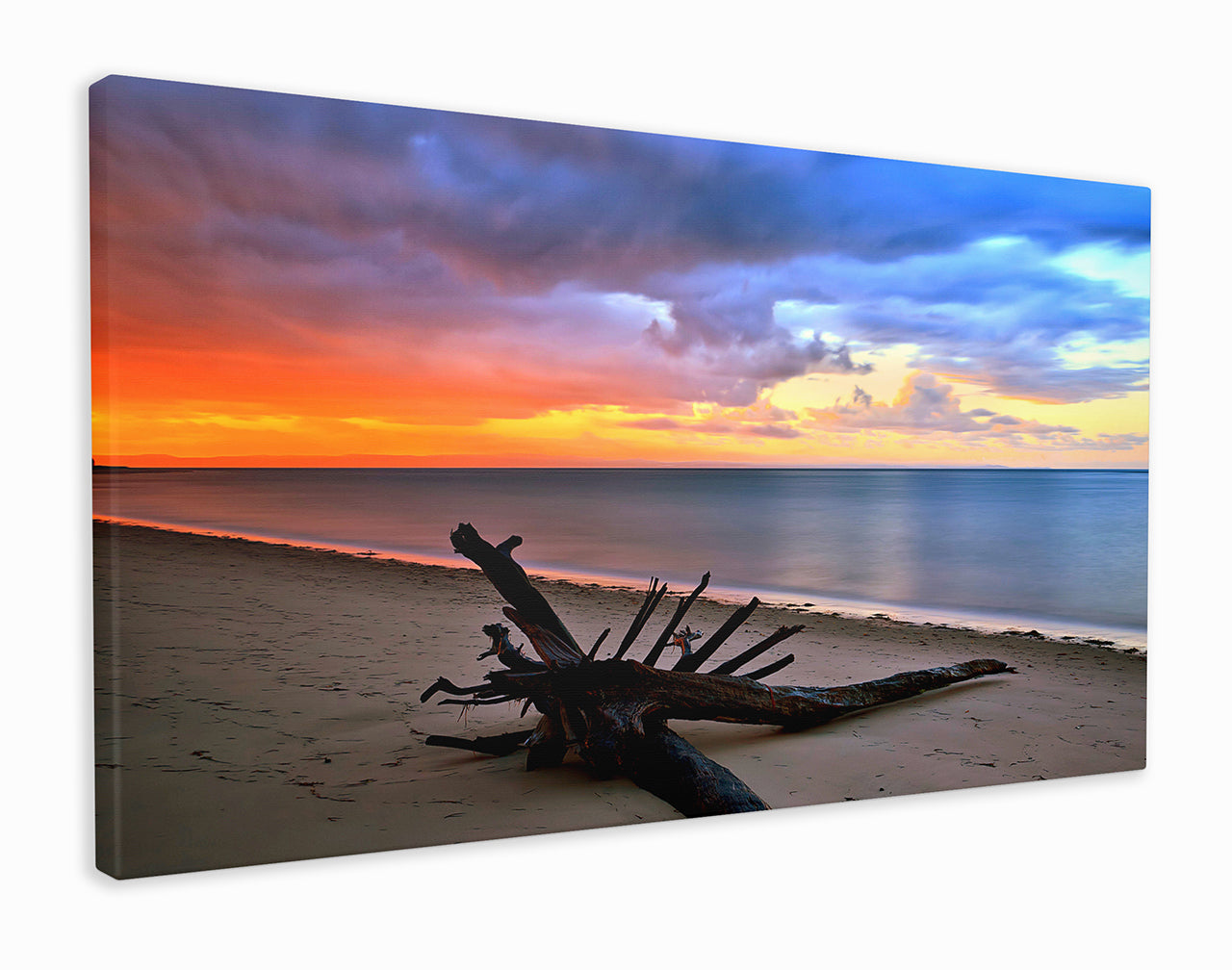 Driftwood on the beach