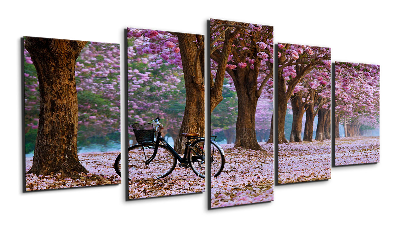 Cycling Through the Blossoms