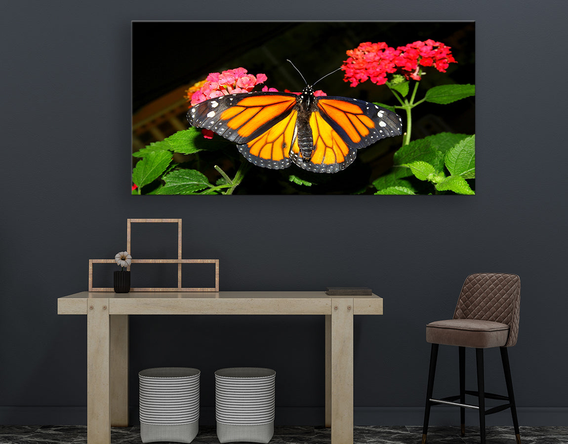 Butterfly on flowers