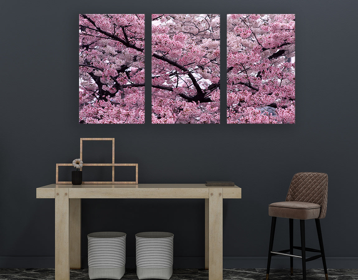 Cherry blossom