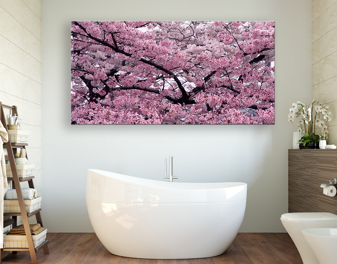 Cherry blossom