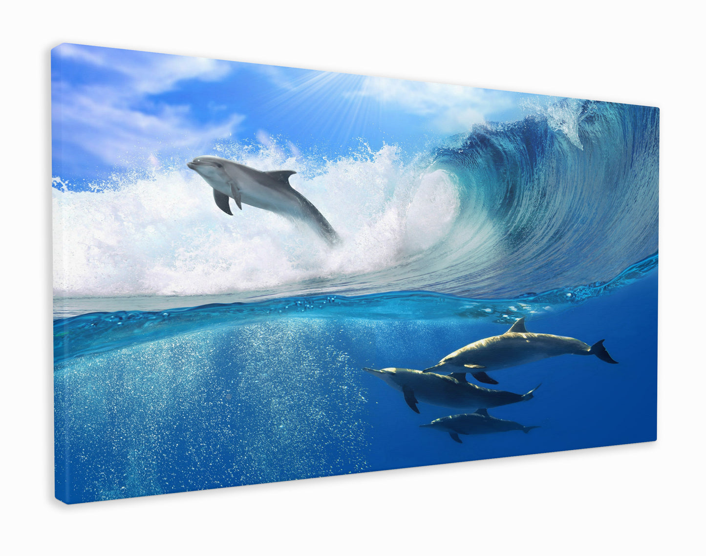 Dolphins in surf