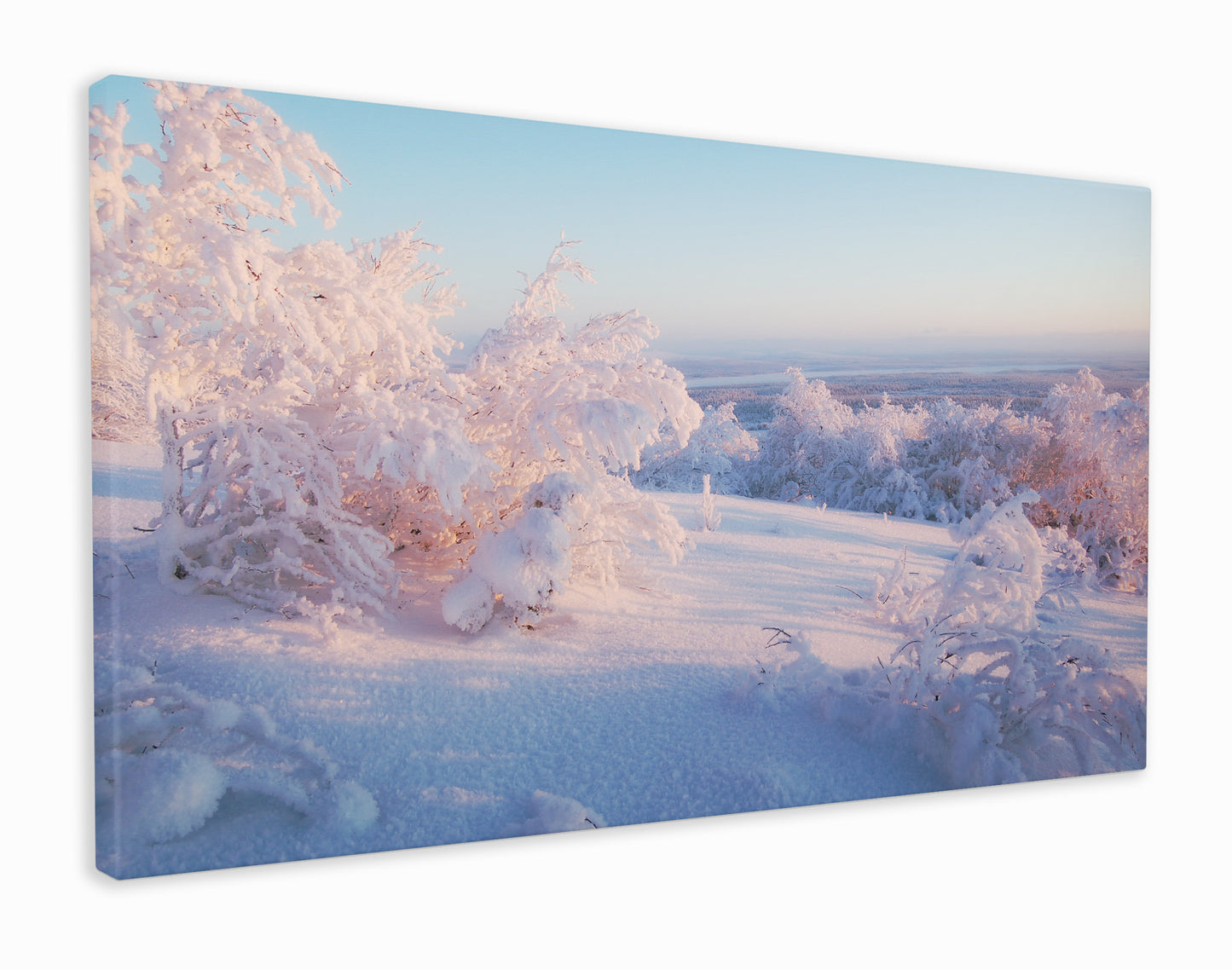 Snowy meadow