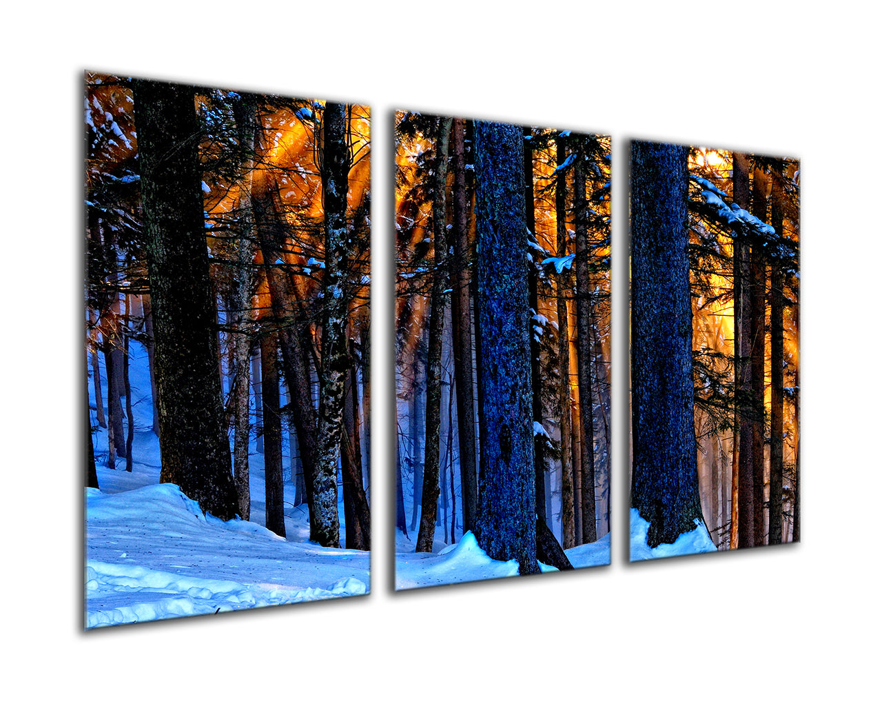 Snow forest sunset