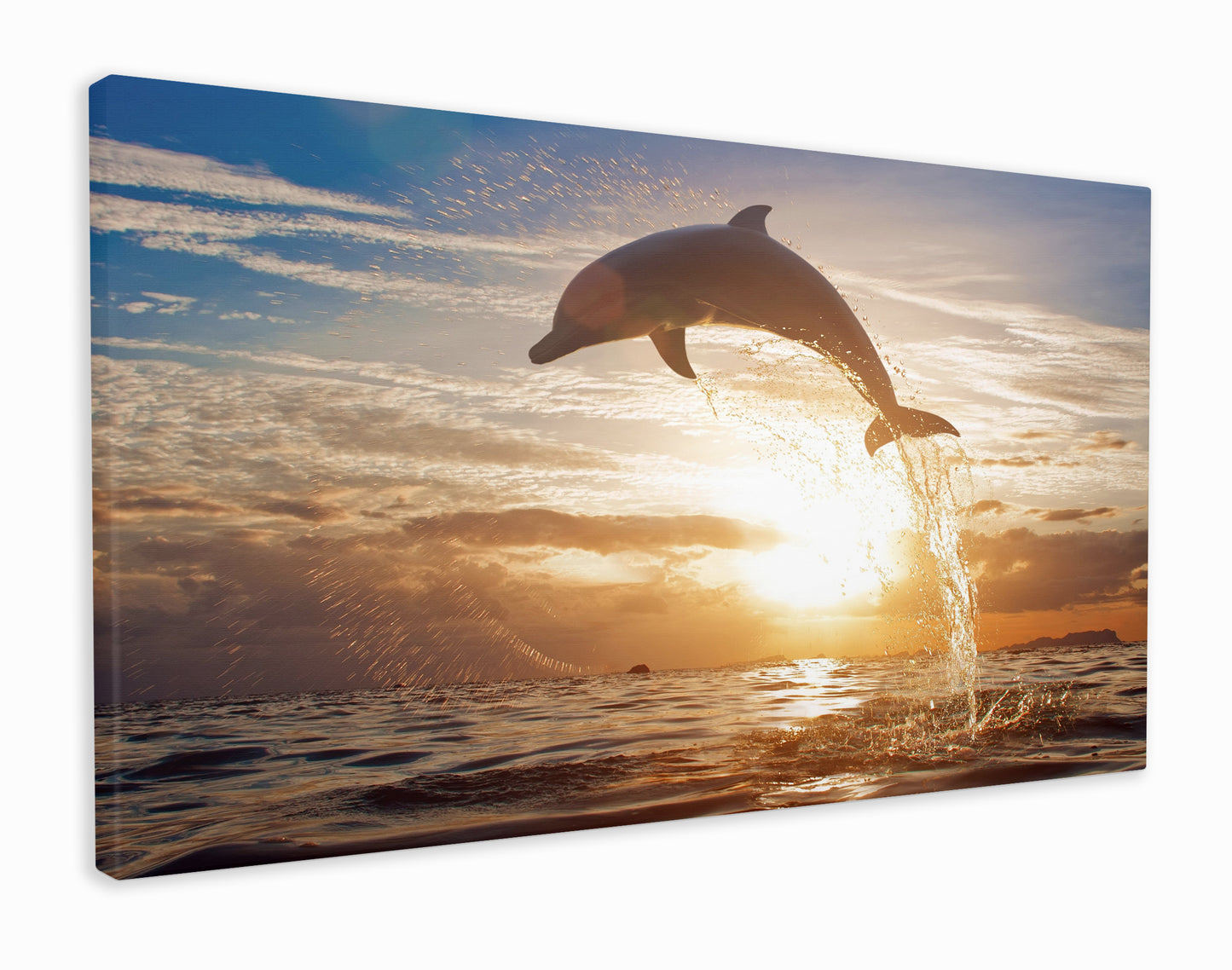 Dolphin jumping into sunrise