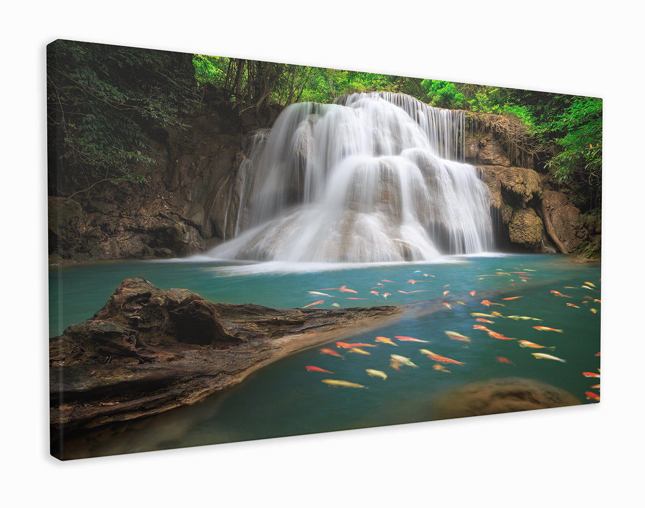 Beautiful waterfall with golden goldfish