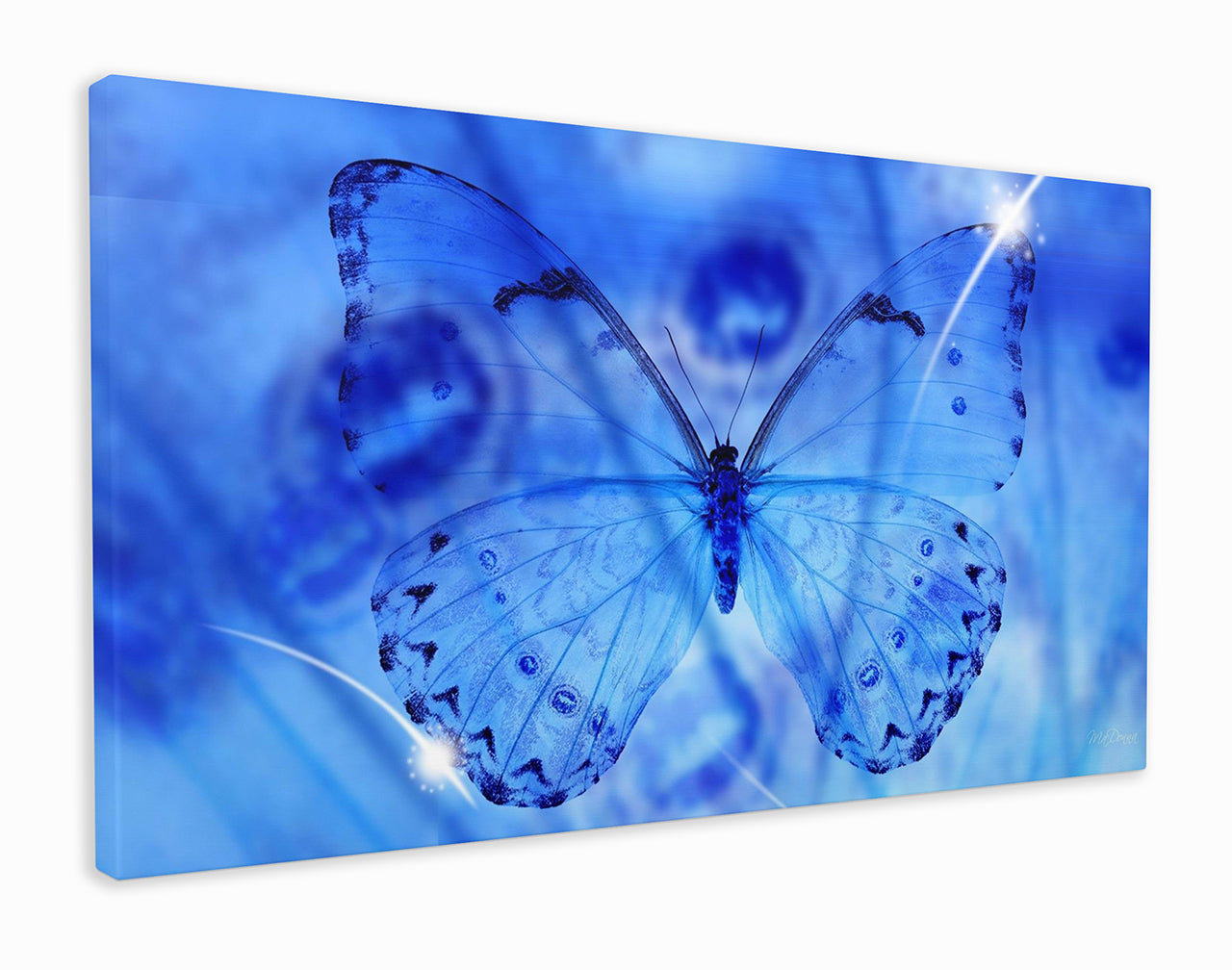 Beautiful blue butterfly