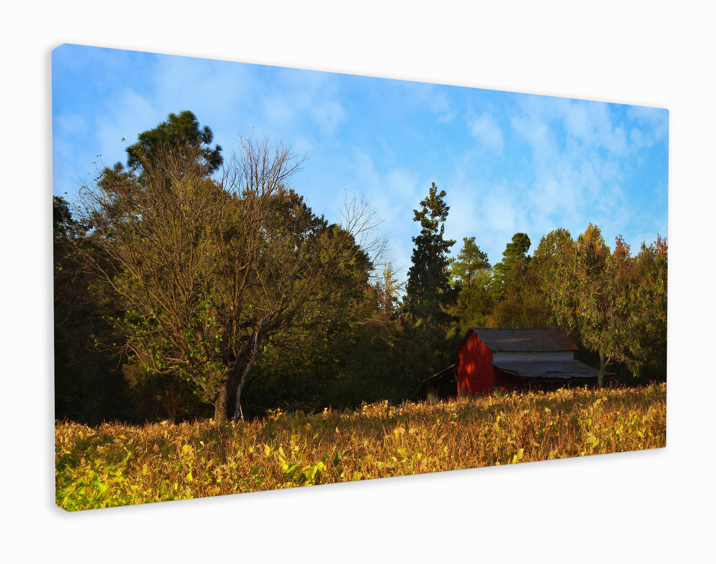 Red barn