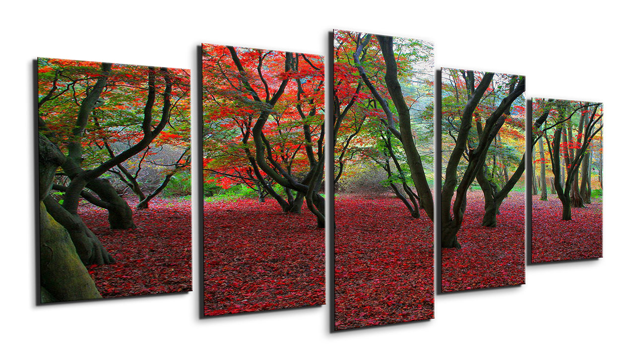 Red leaf forest