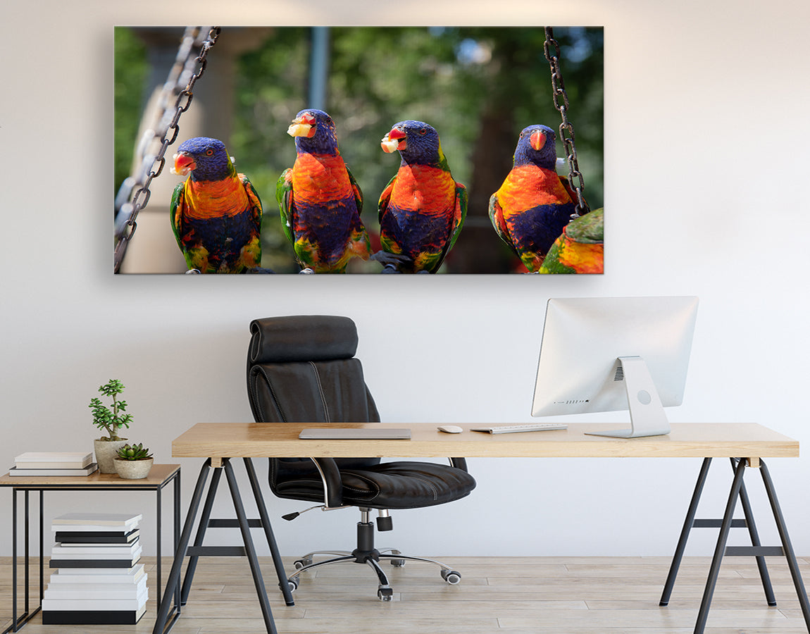 Group of parrots