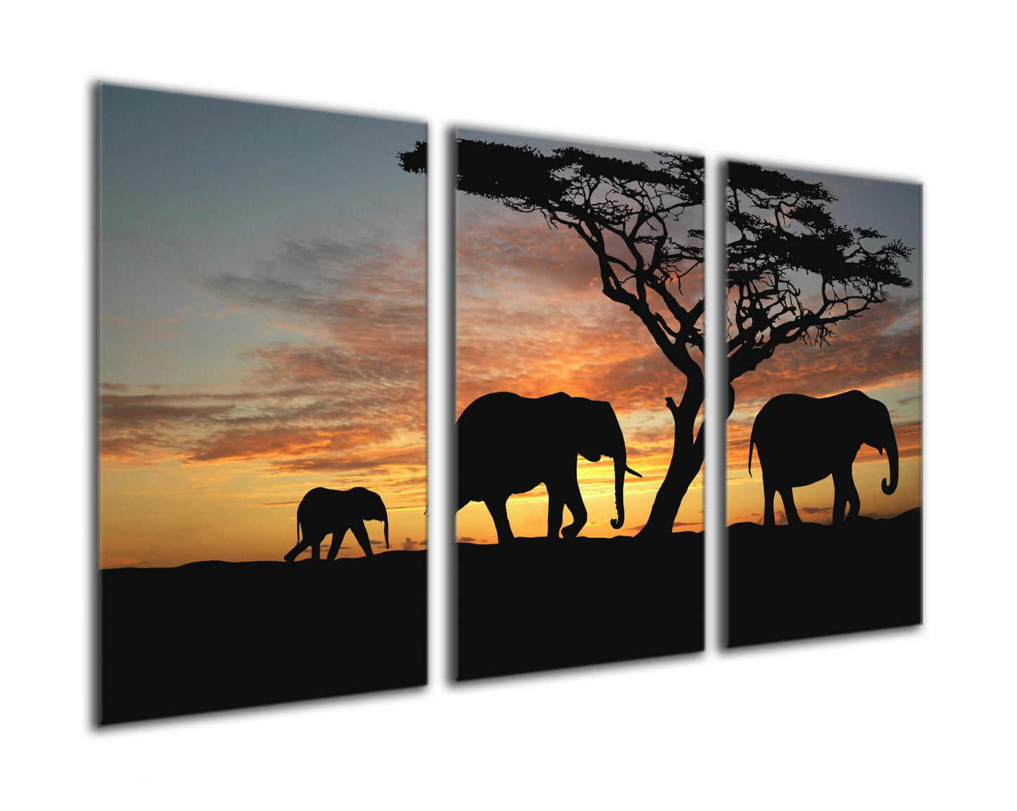 Elephants in Sunset