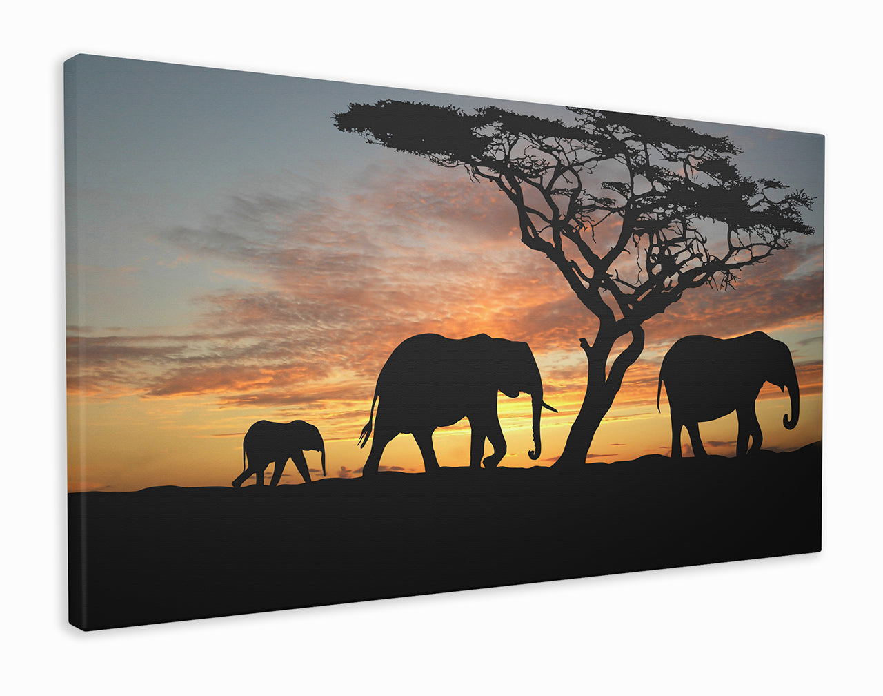 Elephants in Sunset