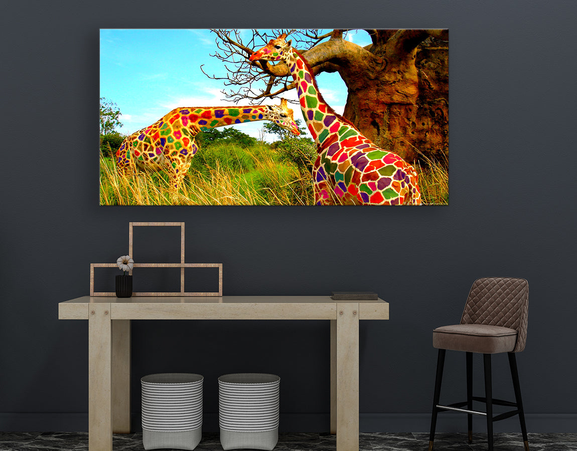 Colourful giraffes