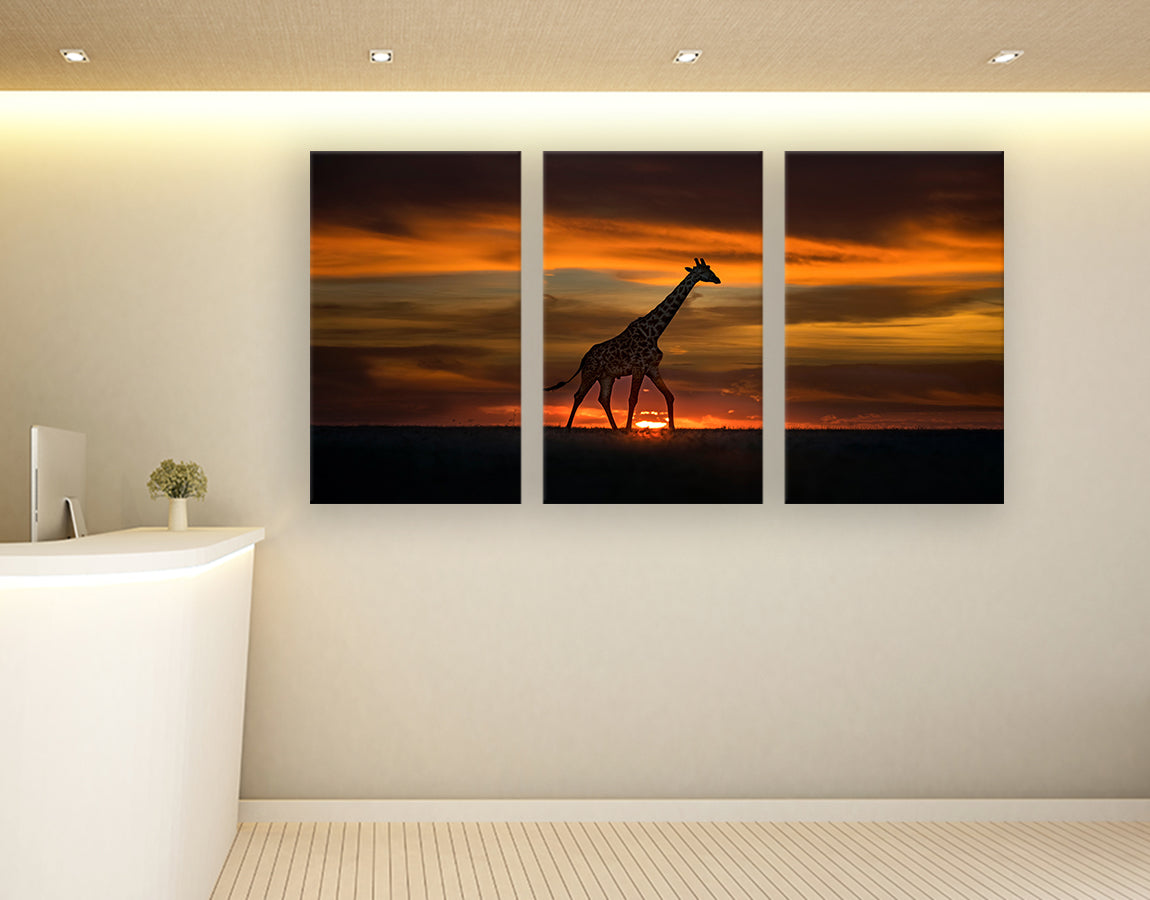 Giraffe in Sunrise