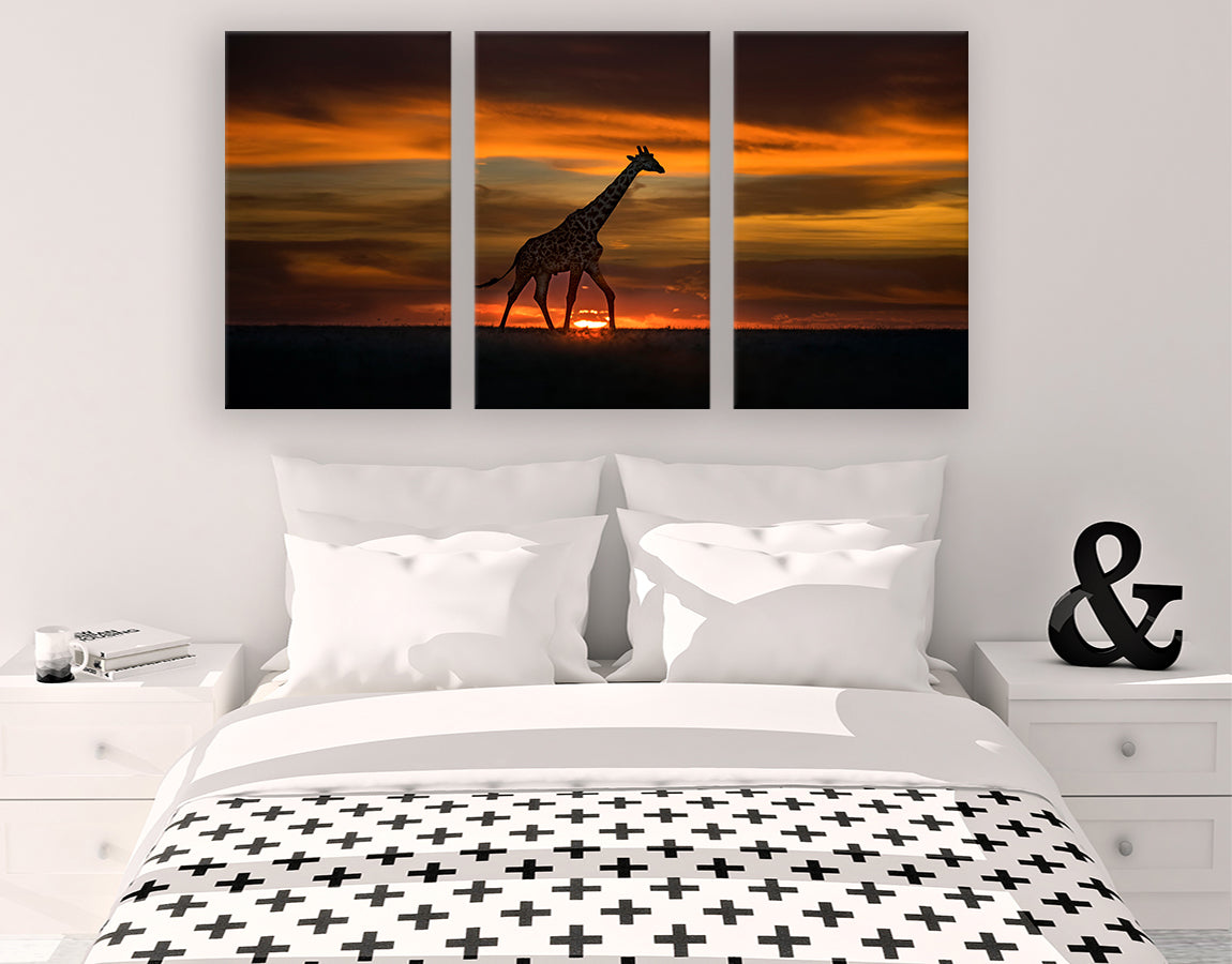 Giraffe in Sunrise