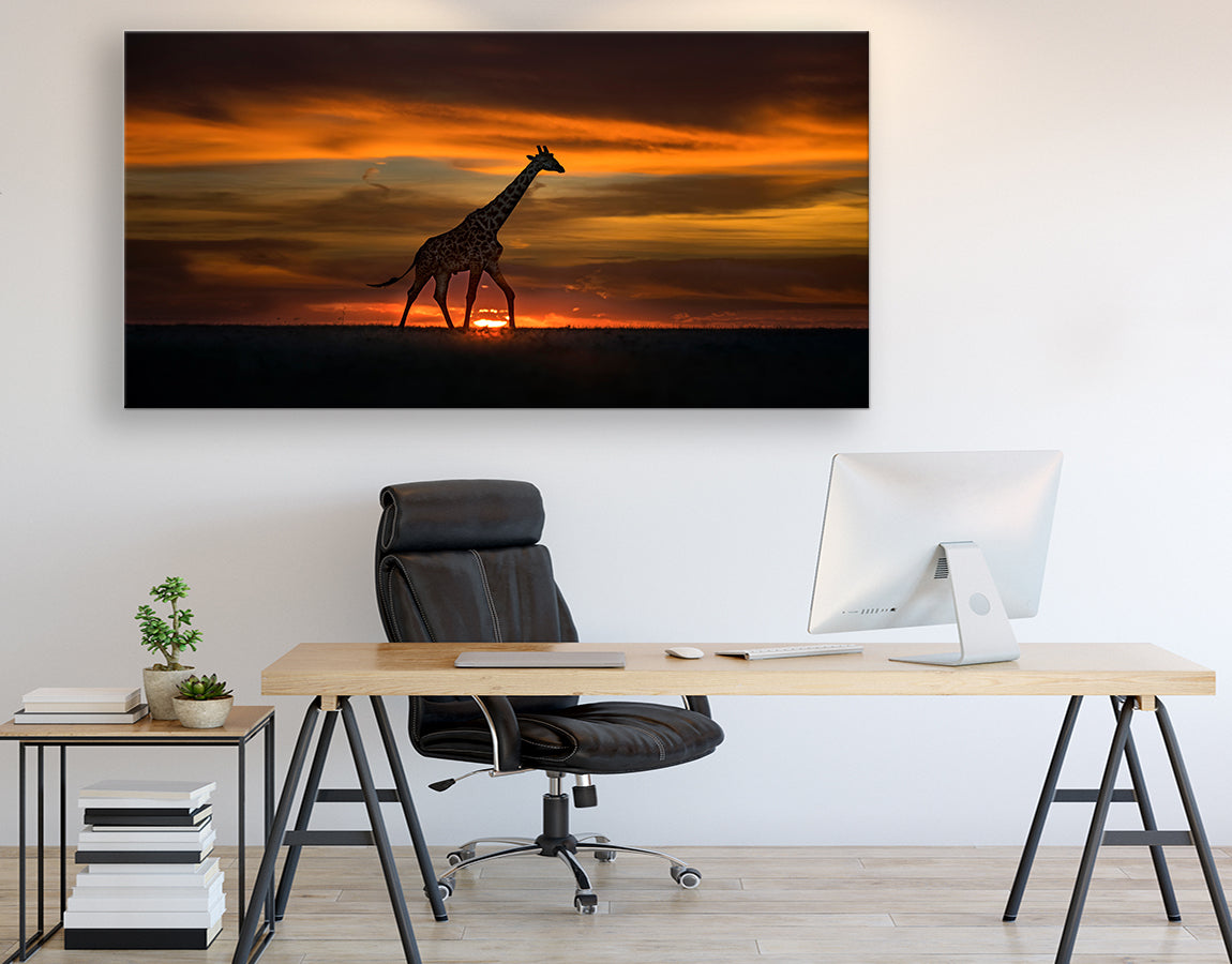 Giraffe in Sunrise