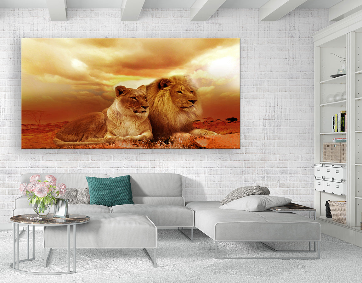 Lion and Lioness in Desert