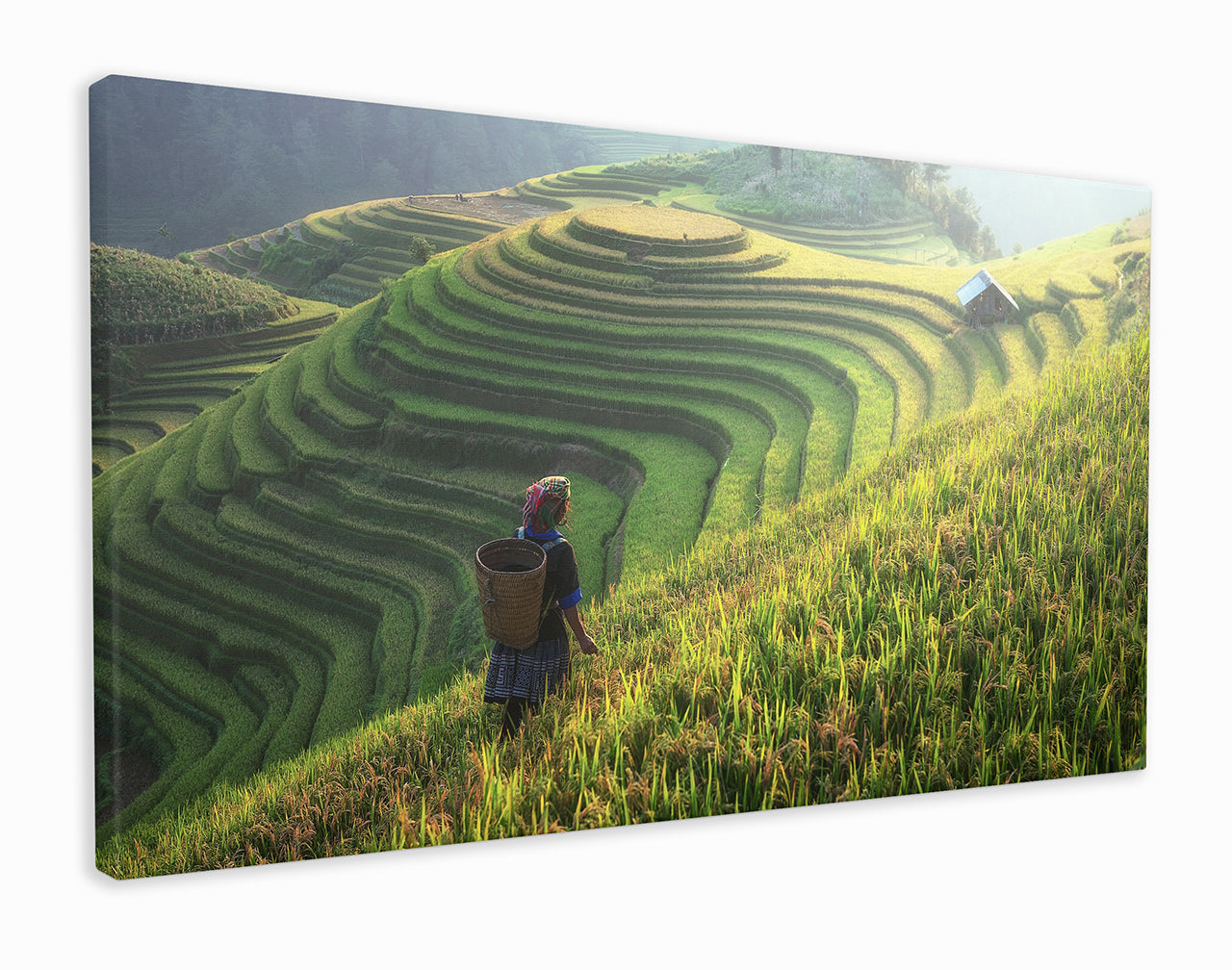 Rice Terraces Longsheng, China