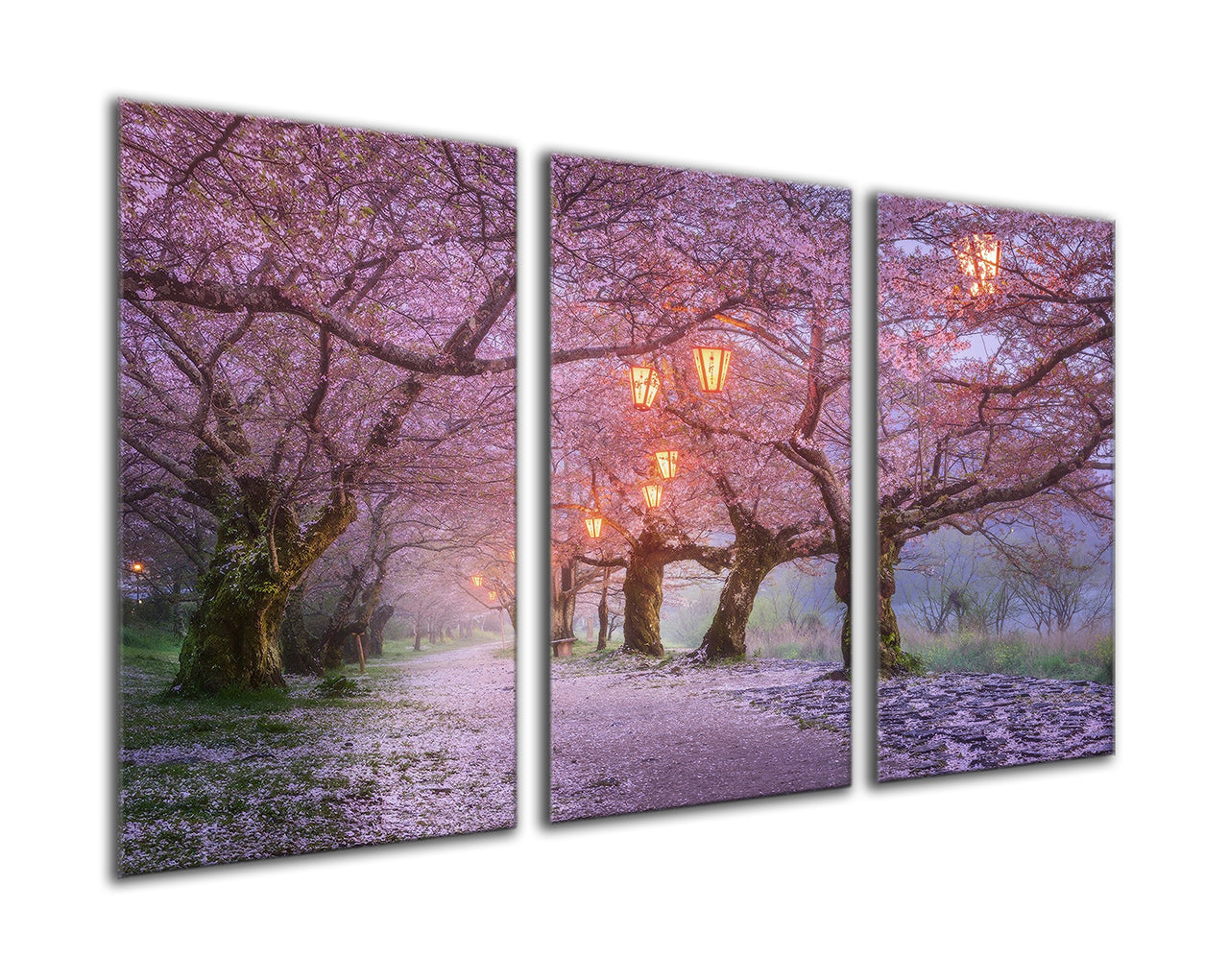 Japanese blossom trees