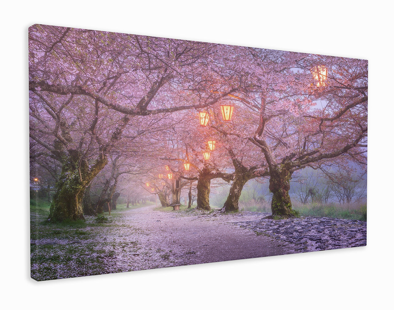 Japanese blossom trees