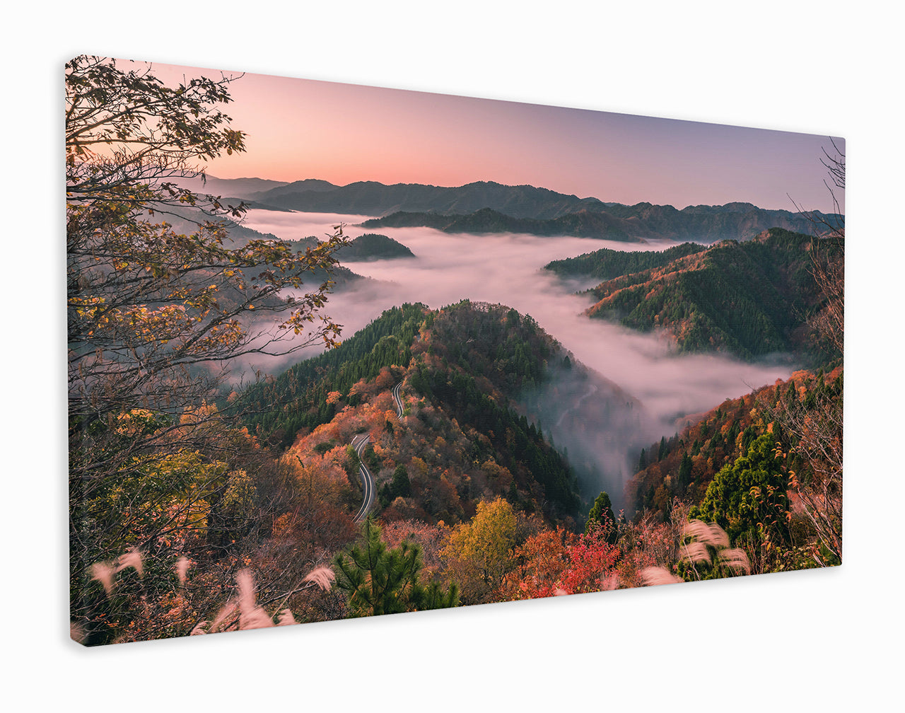 Japanese mountain road