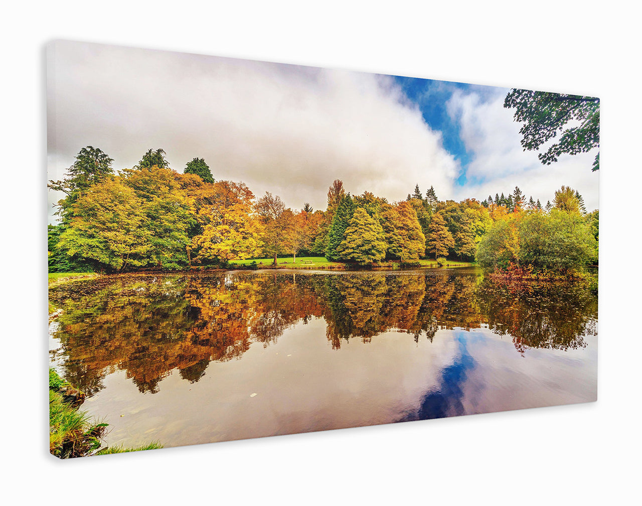 Ireland Lake and Forest