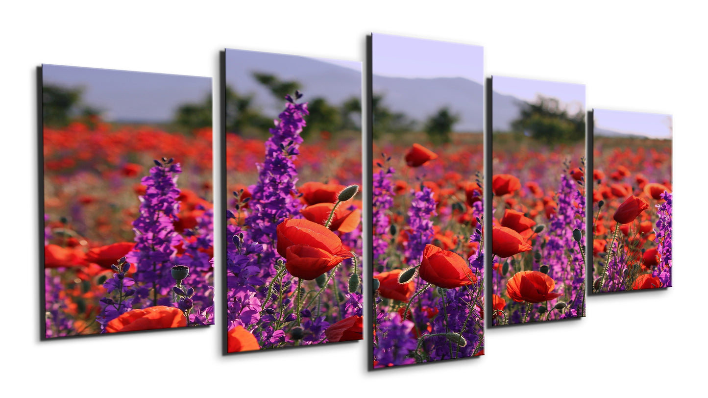 Poppies and bluebells